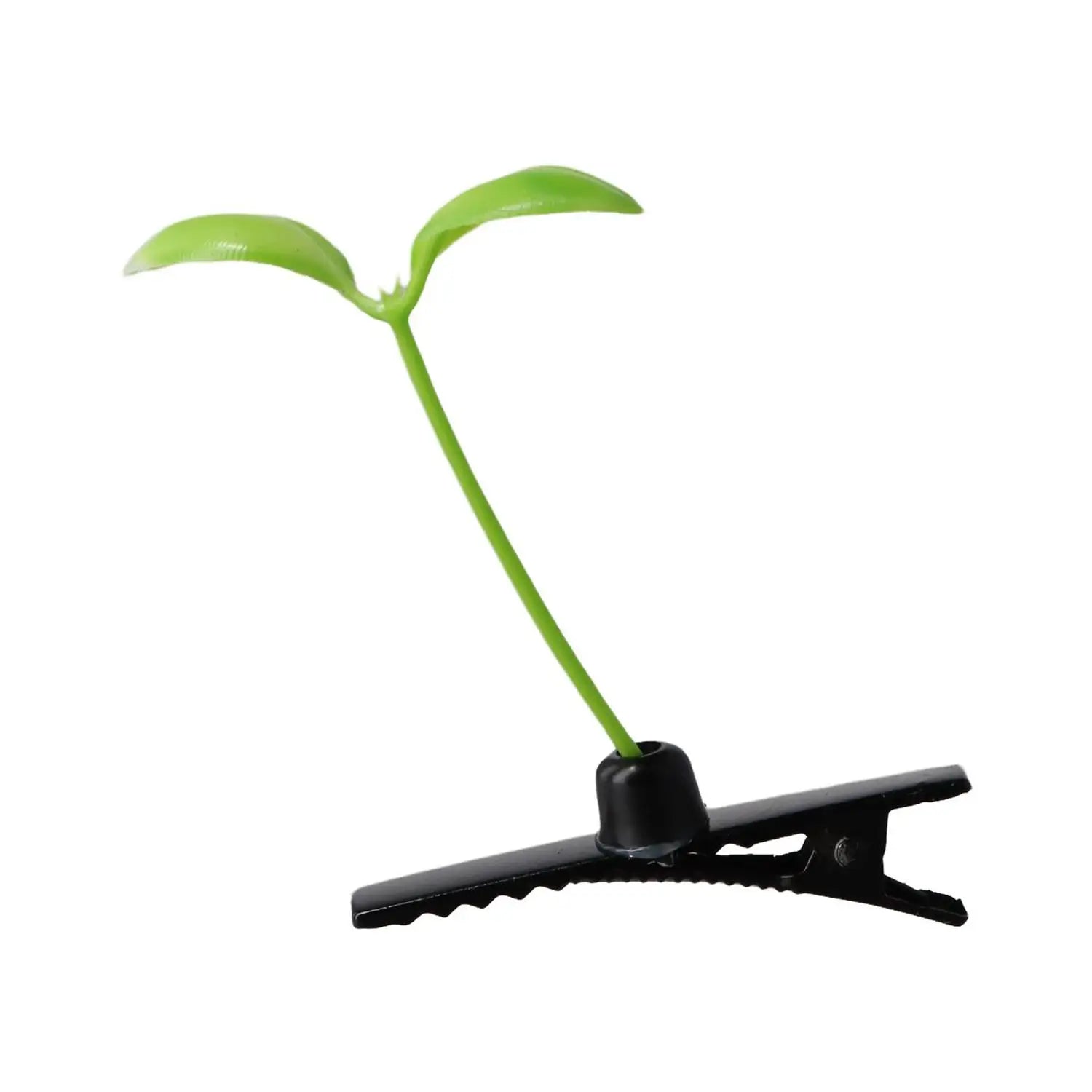 Brote de hierba verde - 1/5 piezas