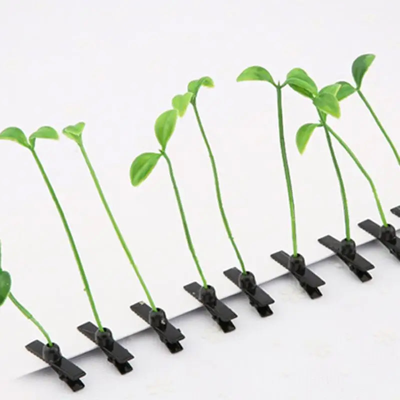 Brote de hierba verde - 1/5 piezas