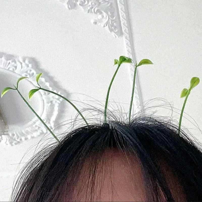 Horquillas de brotes de frijol - 100/5 piezas