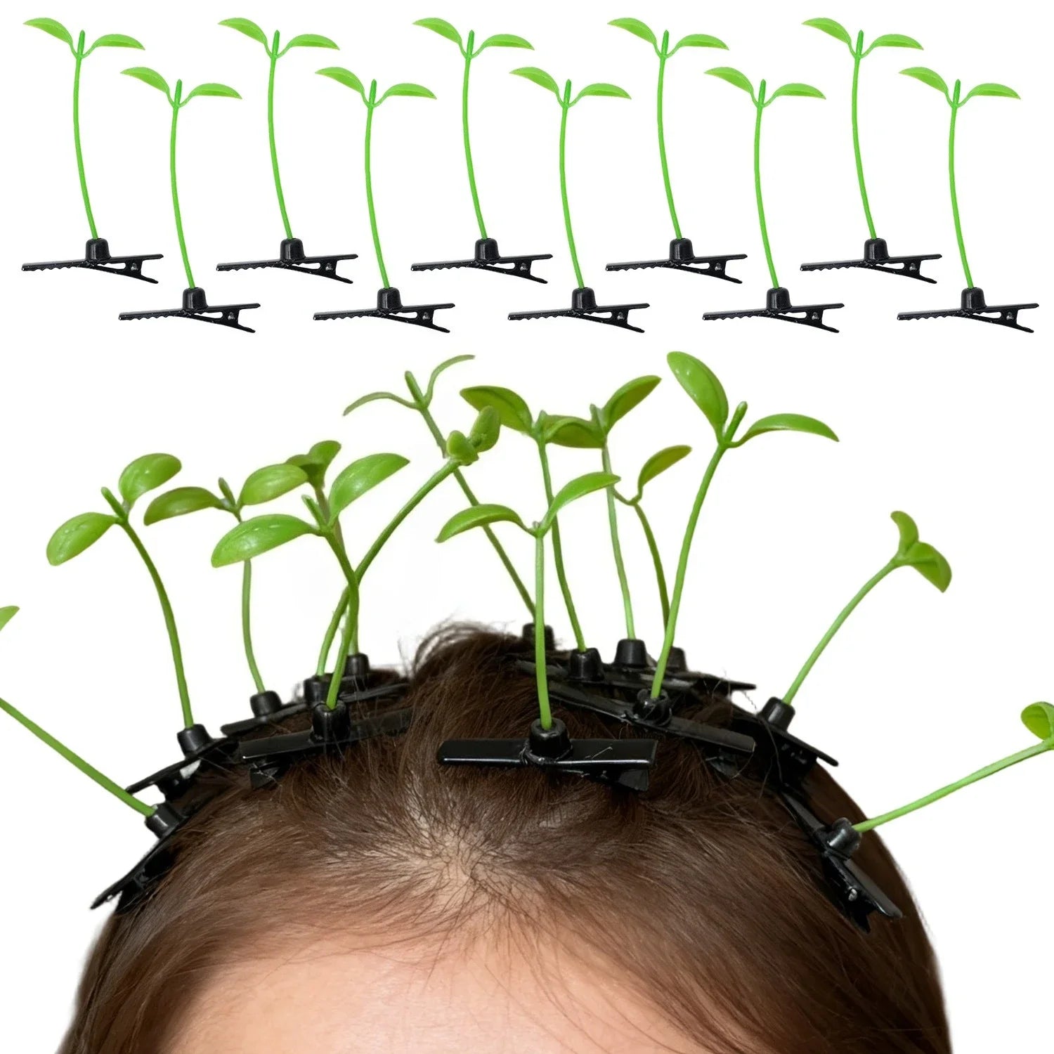 Horquillas de brotes de frijol - 100/5 piezas