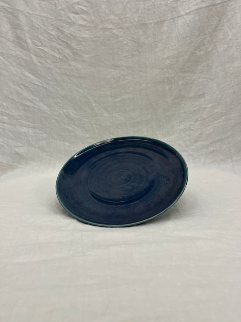 Blue DishWare Plate